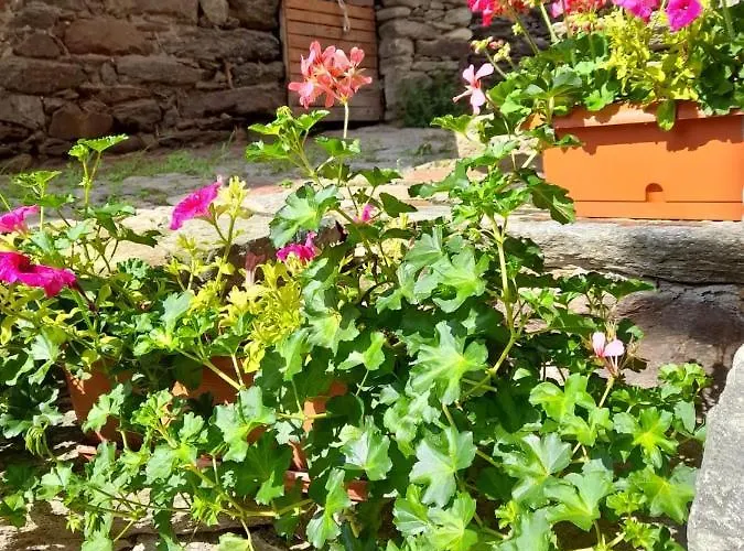 Bed & Breakfast La Crotta Pont-Saint-Martin